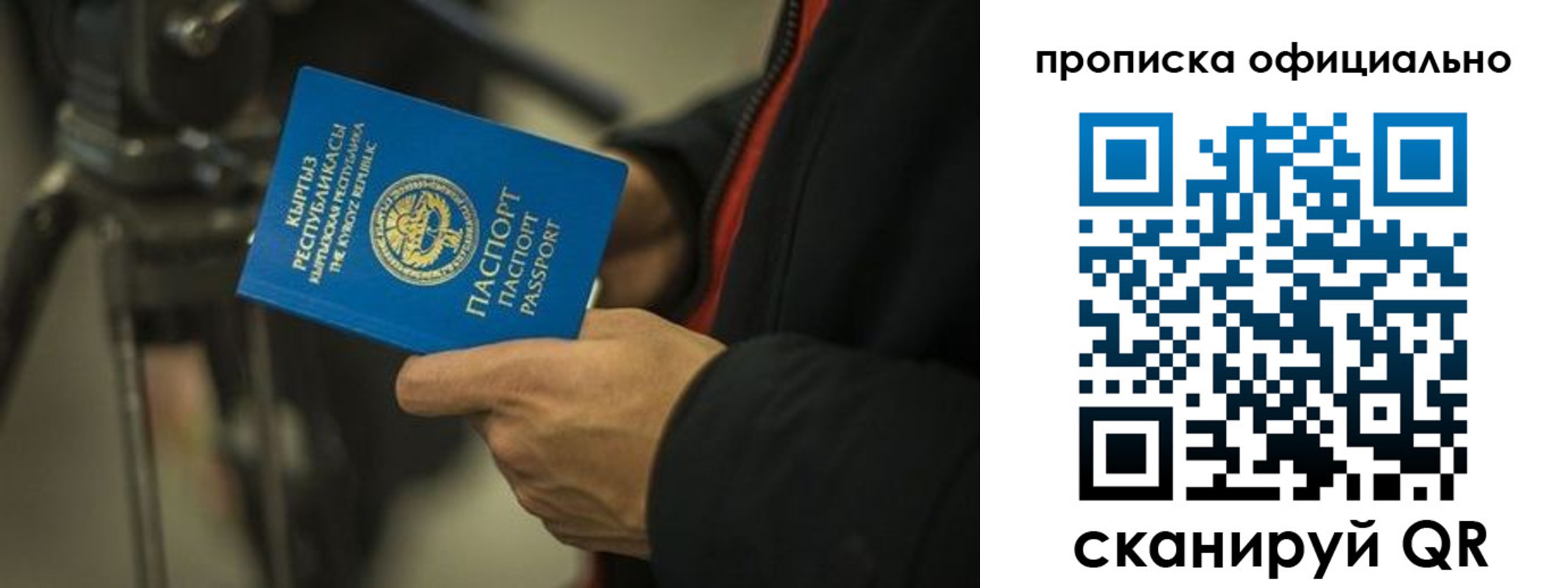 прописка в Апатитах
